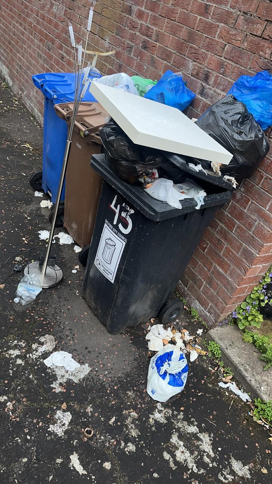Bin Overflow Collection Service